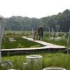 How do plants respond to rising CO2 levels? To find out, plant physiologist Bert Drake monitors plants used in his CO2 study at the Smithsonian Environmental Research Center (SERC) near the Chesapeake Bay in Maryland.