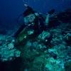 Dr. Valerie Paul, director of the Smithsonian Marine Station at Fort Pierce, Fla., examines tropical seaweeds on northwestern Guam’s coral reefs.