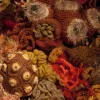 Detail of The Smithsonian Community Crochet Reef