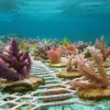 Purple, pink and green corals growing underwater on a metal fence-like substrate. 