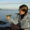Melissa Frey, Encyclopedia of Life (EOL) Rubenstein Fellow, examines a Pacific oyster (Crassostrea gigas) on a chilly day in Sidney, British Columbia. In addition to holding an EOL Fellowship, Melissa is a Research Associate at the Royal BC Museum, where she continues to engage in taxonomic studies.