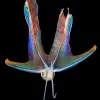 an octopus with rainbow colored webbing between its arms