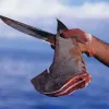 Freshly cut dorsal fin from a scalloped hammerhead shark held by fisherman with knife.