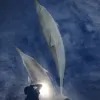 “I took this photograph of spinner dolphins in calm waters off the Ogasawara Islands, an archipelago in the Pacific Ocean about 600 miles south of Tokyo. When the sun briefly broke through the clouds, our shadow was mirrored in the water’s surface—an