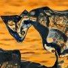 Polar ice melting during sunset