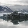 Human activity is increasing in the Arctic marine environment due to climate change. To help the most vulnerable areas, the Global Marine Program of IUCN, along with partners, is convening a series of workshops aimed at enhancing ecosystem-based management and identifying biologically or ecologically important or vulnerable habitats. Burgerbukta, a bay in Svalbard, Norway, is being managed for ecosystem protection.