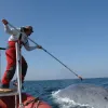 Ari Friedlaender, a research scientist at the Duke University Marine Lab, tags a blue whale. 