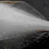 The whitish spots on this fish are individual parasitic trematode worms. 