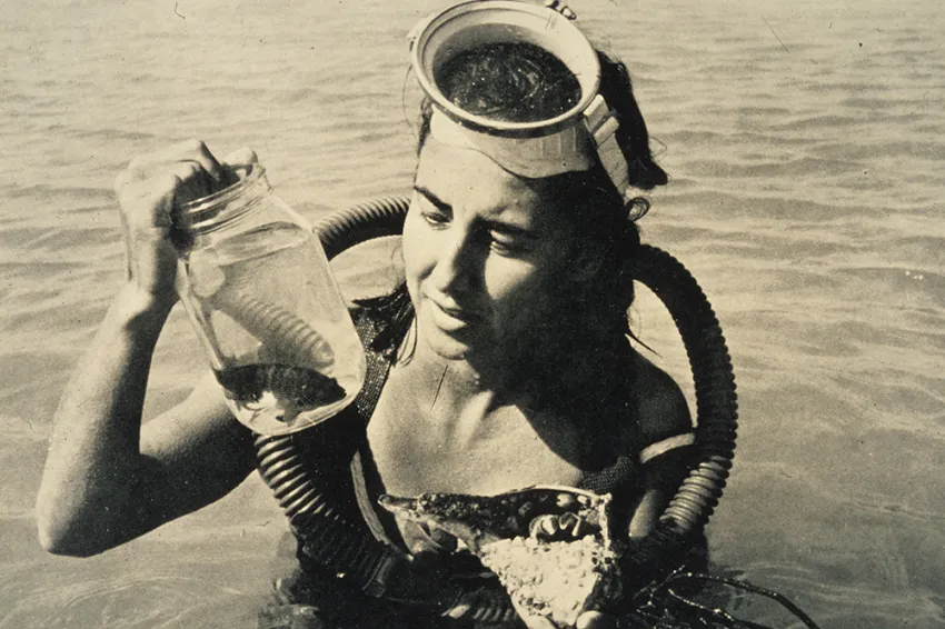 Eugenie Clark collecting specimens on a dive.