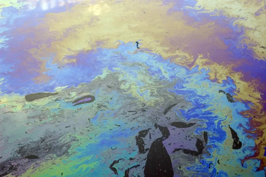 A thin layer of oil on the water's surface, reflecting rainbow colors