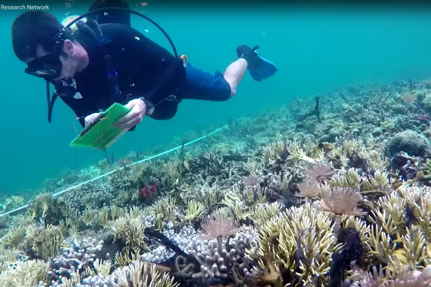 The Marine Global Earth Observatory (MarineGEO), directed by the Smithsonian’s Tennenbaum Marine Observatories Network (TMON), is the first long-term, worldwide research program to focus on understanding coastal marine life and its role in maintaining re