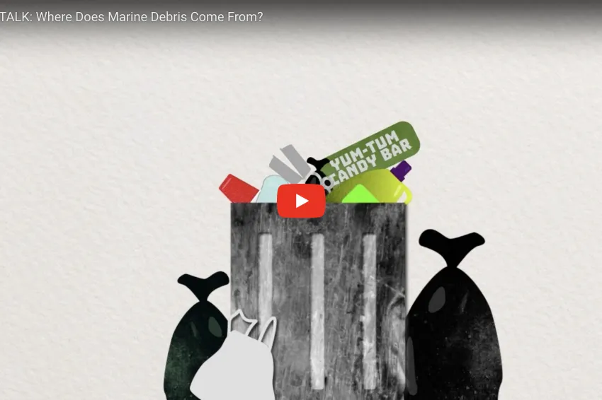 Ocean plastic, and marine debris generally, comes from a variety of sources--both direct and indirect.
