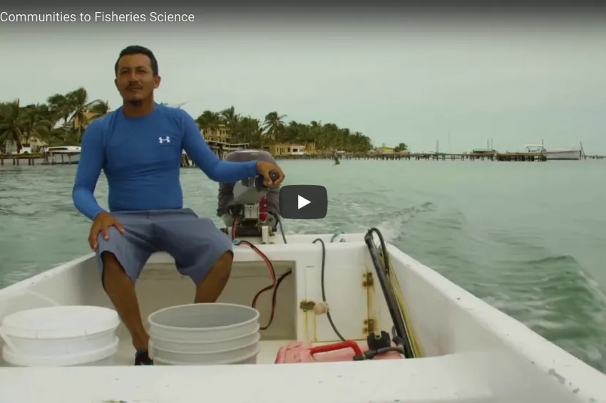 Thumbnail of man driving outboard on the ocean.