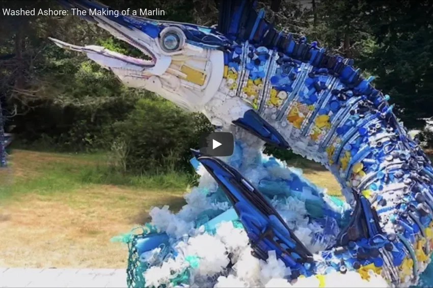 A screenshot from the video showing a large marlin sculpture made of ocean plastic.