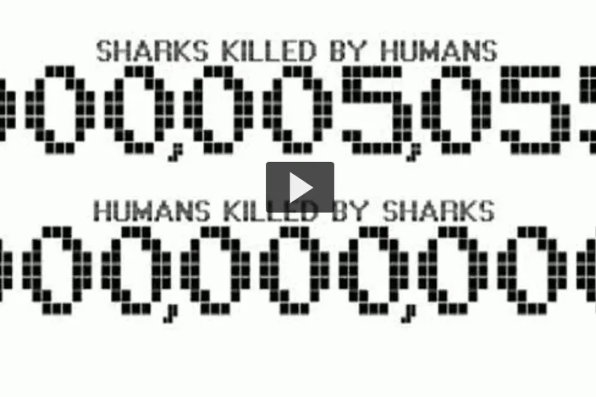 Screenshot of video "100,000,000 to 000,000,001: Rethink the Shark"