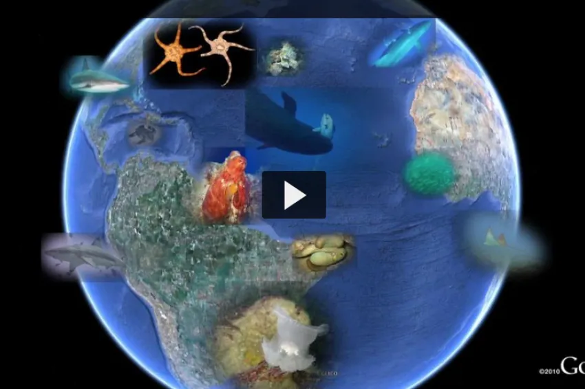 A screenshot from the video "Smithsonian Collections on Google Earth" that shows a view of Earth with several collections items highlighted as images.