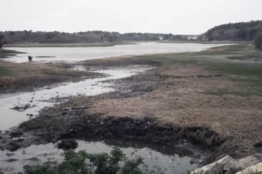 a tidal marsh under an overcast sky