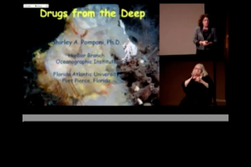 the powerpoint and speaker of a lecture