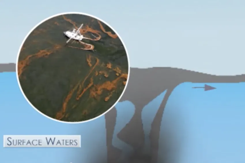 the oil on the surface