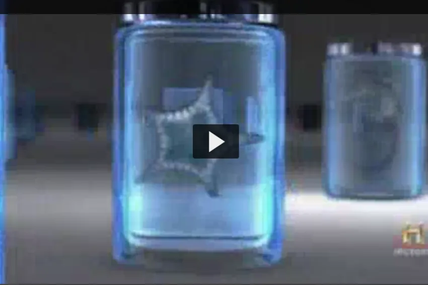 A screenshot from the video of jars in the Smithsonian marine collections. 