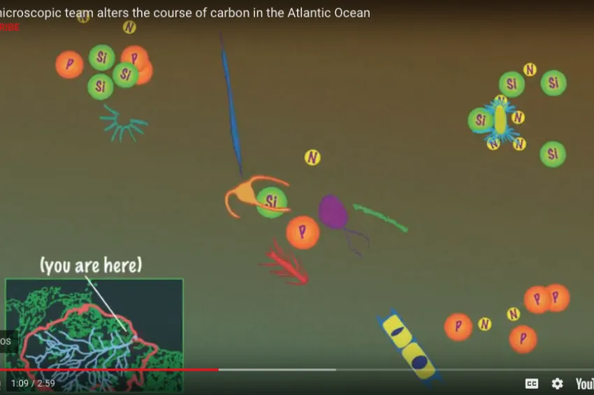 Screenshot from the video with illustrations of tiny ocean microbes. 