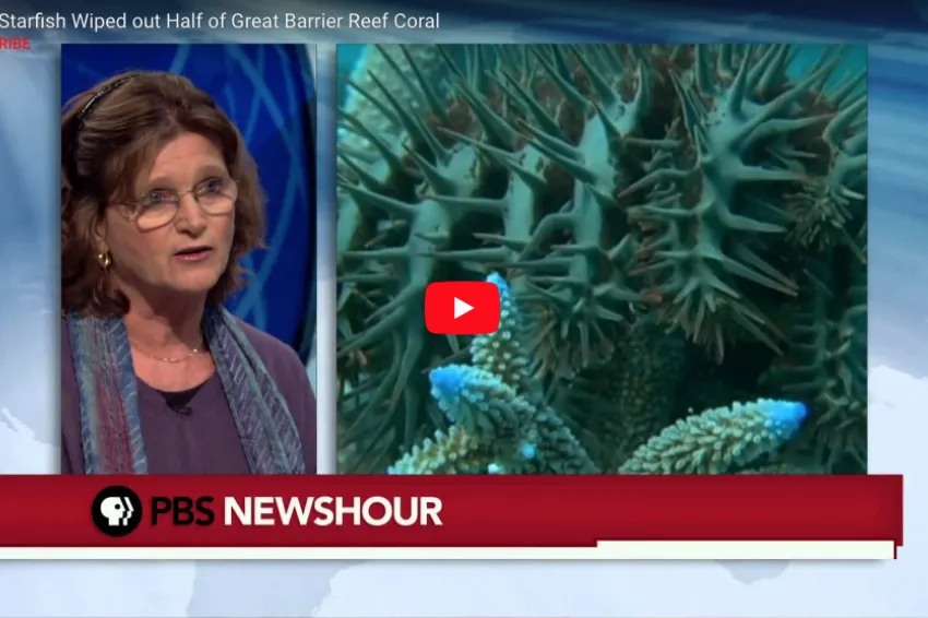 A screenshot from the video of Nancy Knowlton on PBS NewsHour.