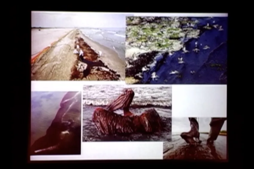a collage of different images