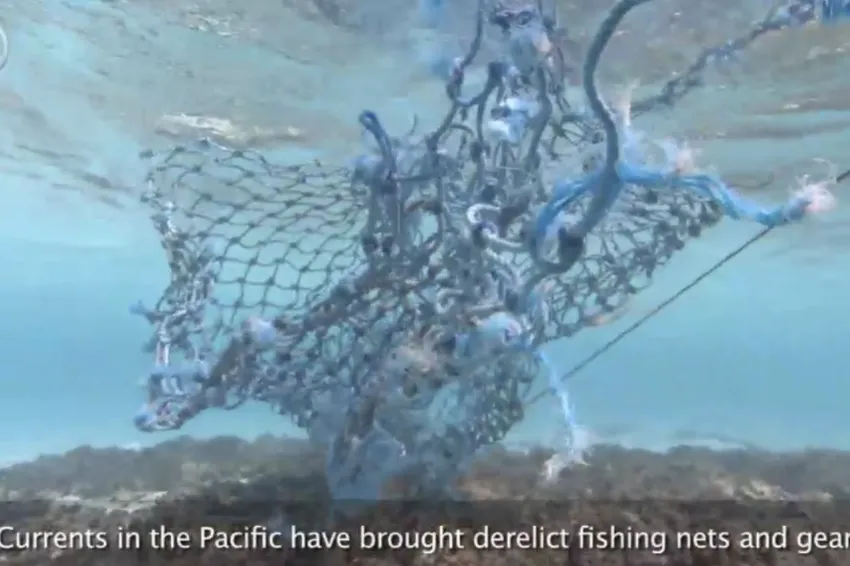 derelict fishing nets