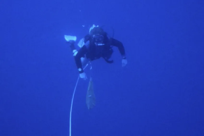 a diver in blue water