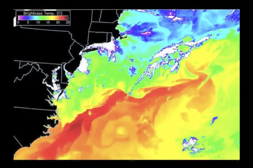 the gulf stream depicted by temperature