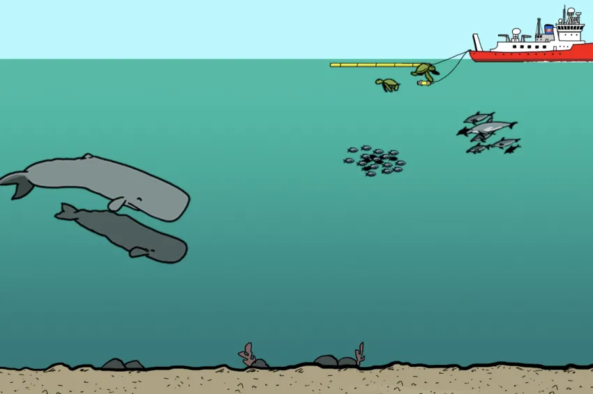 Illustration from video showing whales and fish underwater near an oil rig. 
