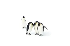 Emperor penguins are the largest of the penguin species and can grow to be 100 pounds. 