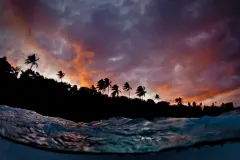 "This shot was taken during a dusk dive in Southern Leyte in the Philippines. I ended the dive with an amazing sunset," wrote Paul Cowell of his winning image.
