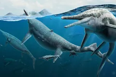 a group of ichthyosaurs swims at the ocean's surface