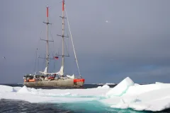 Tara ship at sail amidst icy waters.