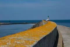 Sea walls must be maintained consistently and will need to be built higher and higher as sea level rises. This type of man-made barrier also has implications for the natural coastline.
