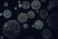 Nutrient influxes can cause phytoplankton blooms in the Antarctic. 