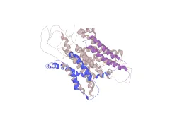 Purple, blue and gray curly objects that are linked together by tiny thread-like structures.