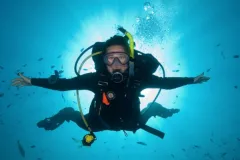 Lindsay Aylesworth is a PADI dive instructor, marine biology consultant and PhD student with Project Seahorse at the University of British Columbia. Lindsay has carried out monitoring and survey work in the tropical marine environment for ten years, starti