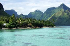 On Moorea, an island in French Polynesia, researchers are striving to complete a biocode—a DNA catalog of every life form big enough to pick up with tweezers.