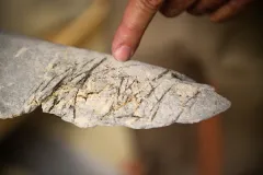 An image of a gray whale bone with line marks engraved in it.