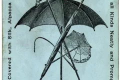 Whalers hunted right whales for baleen, which was used in a variety of commercial products such as umbrellas and whips.