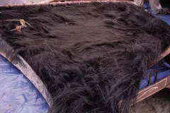 This may look like a mane of hair, but it’s actually baleen from a North Atlantic right whale.