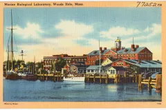 Postcard image of a dock with boats and buildings in the background.