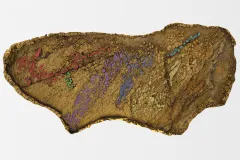 A 3D representation of a paleontological dig site with fossils colorized