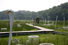 How do plants respond to rising CO2 levels? To find out, plant physiologist Bert Drake monitors plants used in his CO2 study at the Smithsonian Environmental Research Center (SERC) near the Chesapeake Bay in Maryland.