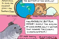 Karen Romano Young's 19th AntarcticLog comic