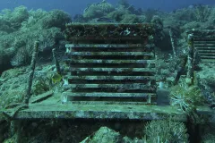 An Autonomous Reef Monitoring Structure (AMRS) placed on a reef in Bali. 