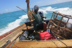 Un pescador se sienta en su bote y sostiene una captura de langosta fresca