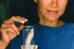 Dr. Carole Baldwin is Curator of Fishes at the National Museum of Natural History.